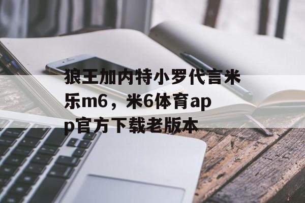 狼王加内特小罗代言米乐m6，米6体育app官方下载老版本